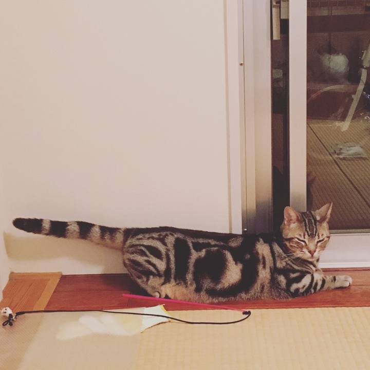 F6ec4d24 d1bd 4cc2 8cc4 b60ab66d03e1