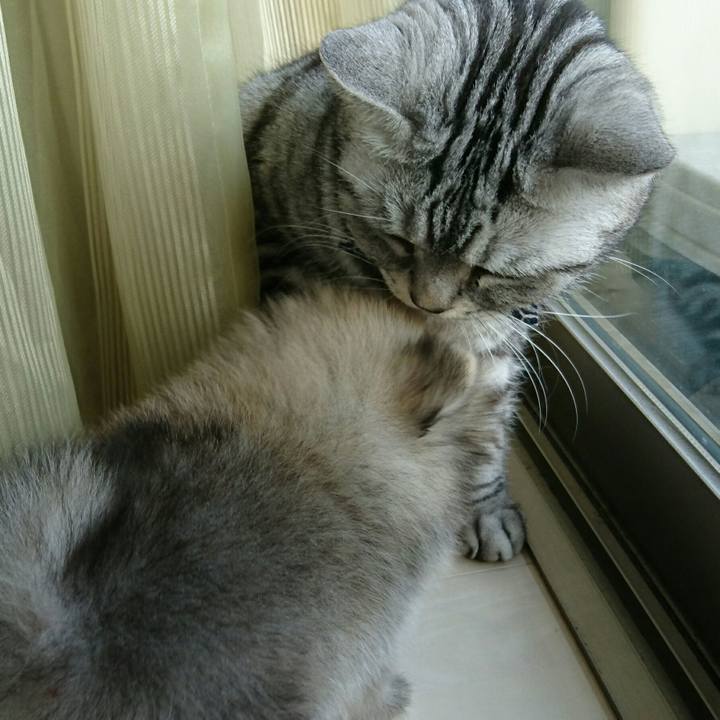 F6ecd465 0f5a 4210 b083 11357d1516f5