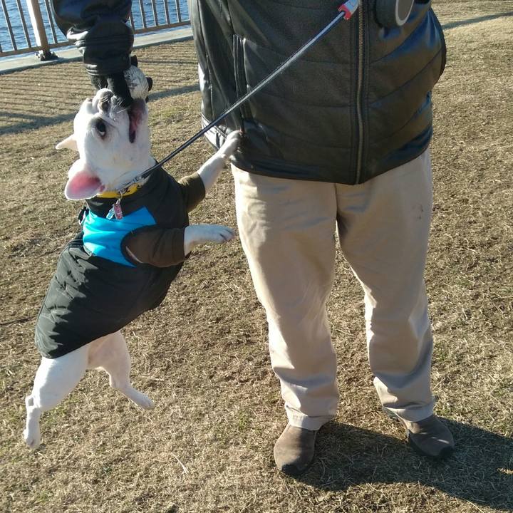 F6ed1d13 881c 4480 8730 676438596e28