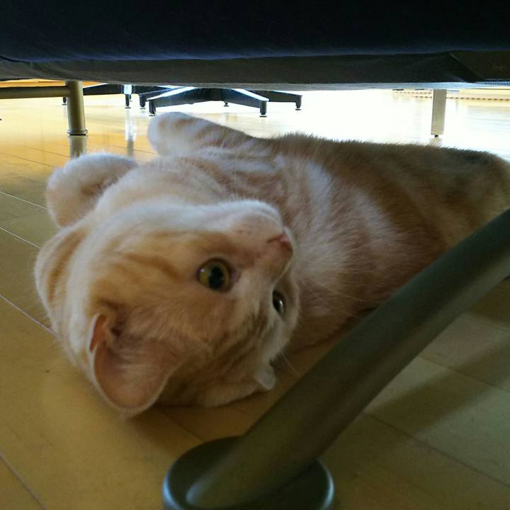 F6ed206e 4daa 4e51 ac84 d50dcbcdc4cf