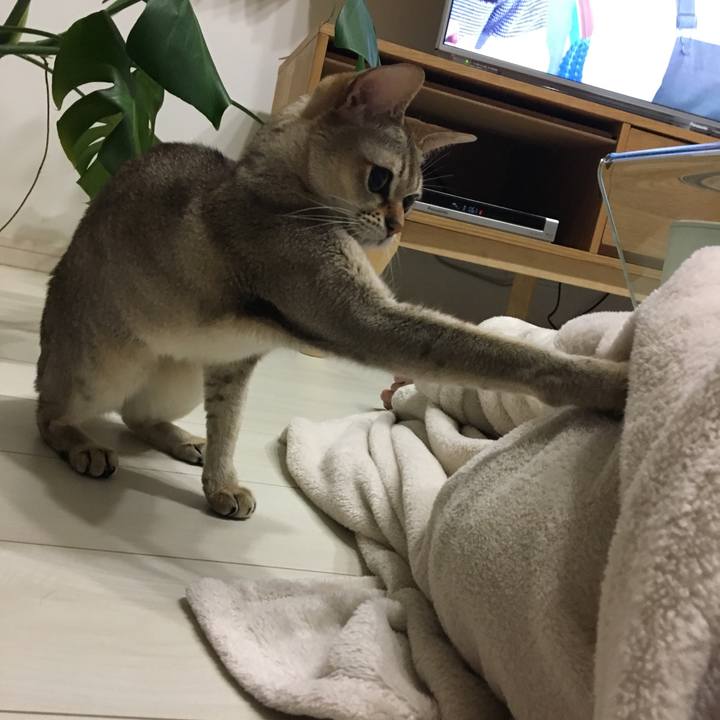 F6ed9885 d33e 44db b38d 69925fda188a