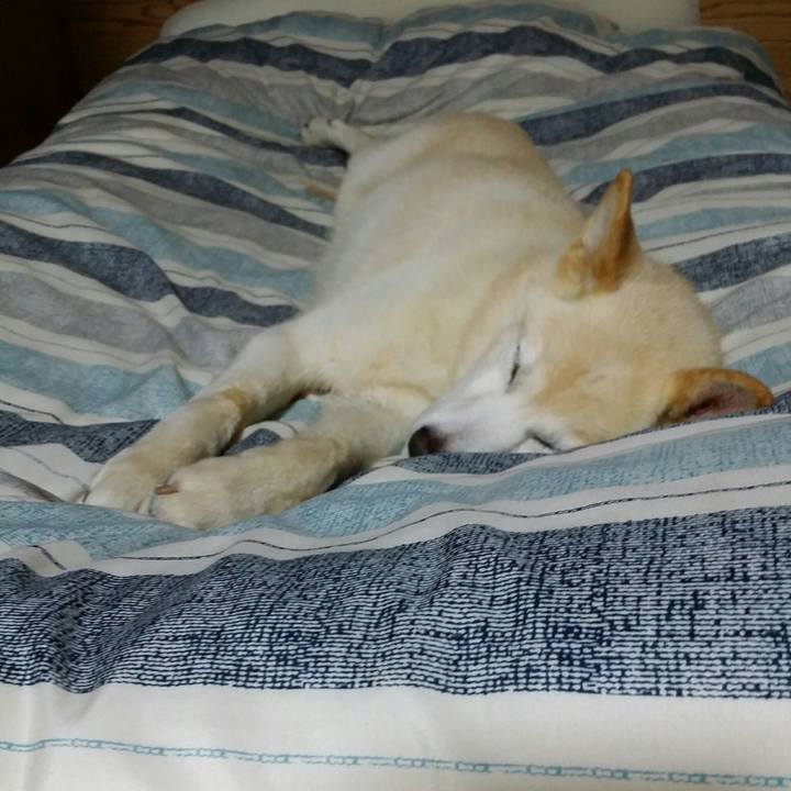 F6ee7d98 409a 4106 b7da 2a663fb3ae76