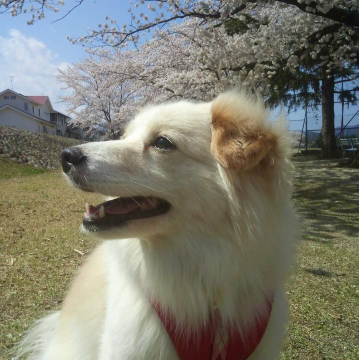 F6ef28ce 4845 41b9 ae00 47b3e740ff8d