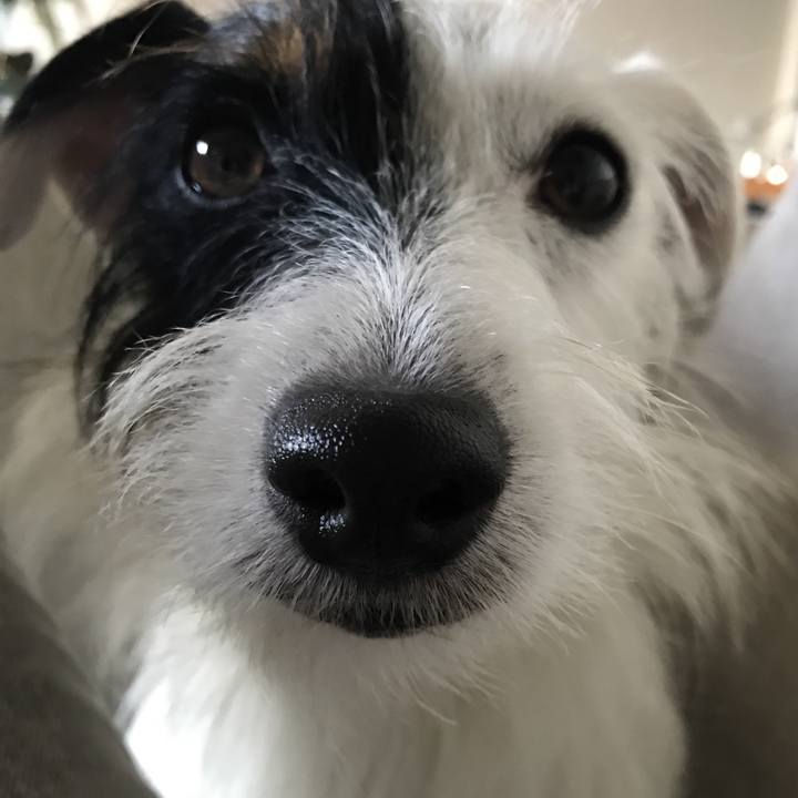 F6ef4a07 78be 47ce 8ba9 455ce1c22e7c