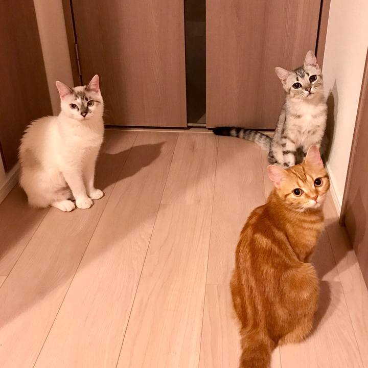 F6ef6e6d adfc 4a0b ac8c b8967f3170d6