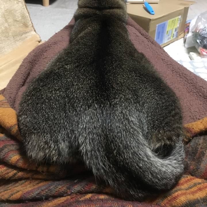 F6efa4ab b2a1 4328 964c 70bd09bd29fb