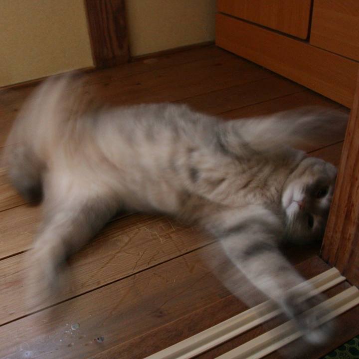 F6f055f4 aadb 4ab1 838d b96f7ef072ad