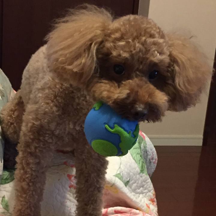 F6f0c044 b3d8 440d b7c3 f02af7e7475a