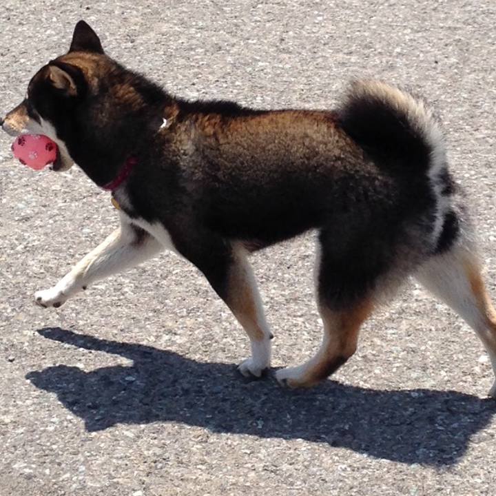 F6f129fe 2943 450c befd 834576e58c5d