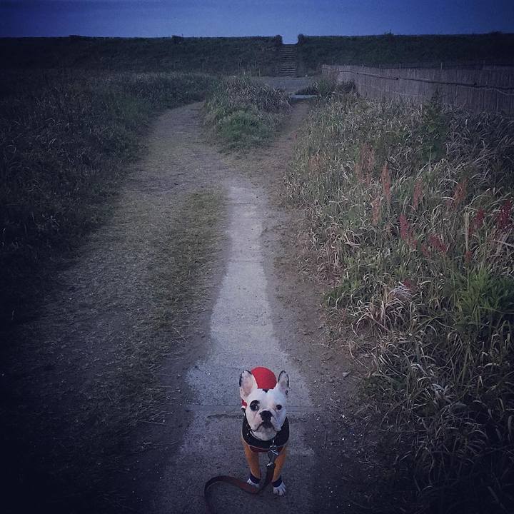 F6f13e55 34a9 4342 93ea 3abcdff53243