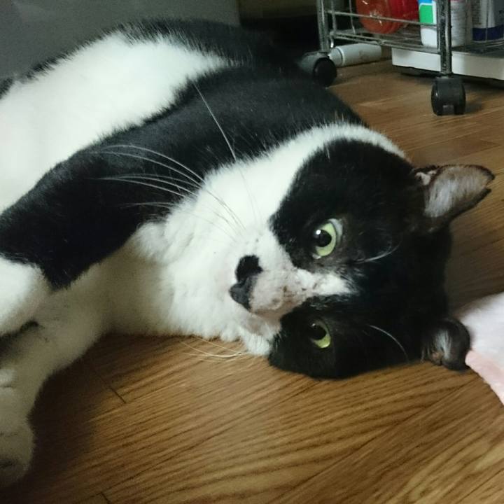 F6f1a08e bdee 485d 92de db17295ab0e3