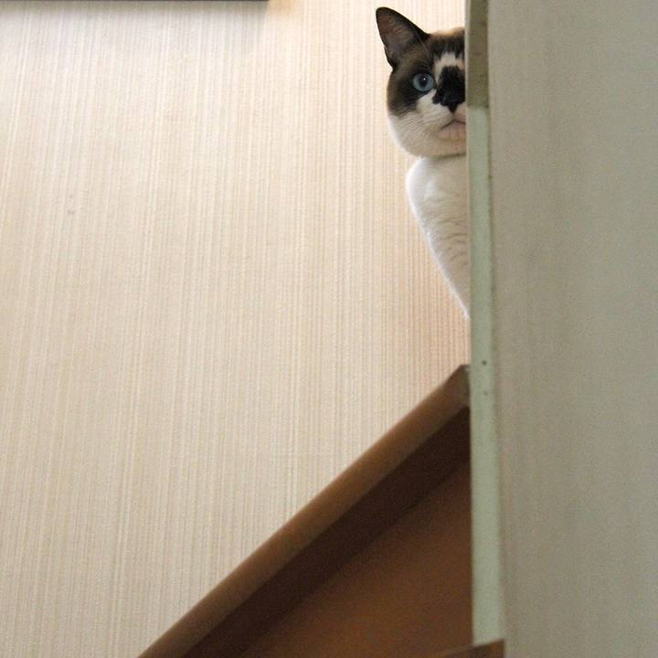 F6f22a97 538f 461f 9db1 057b571e9f82