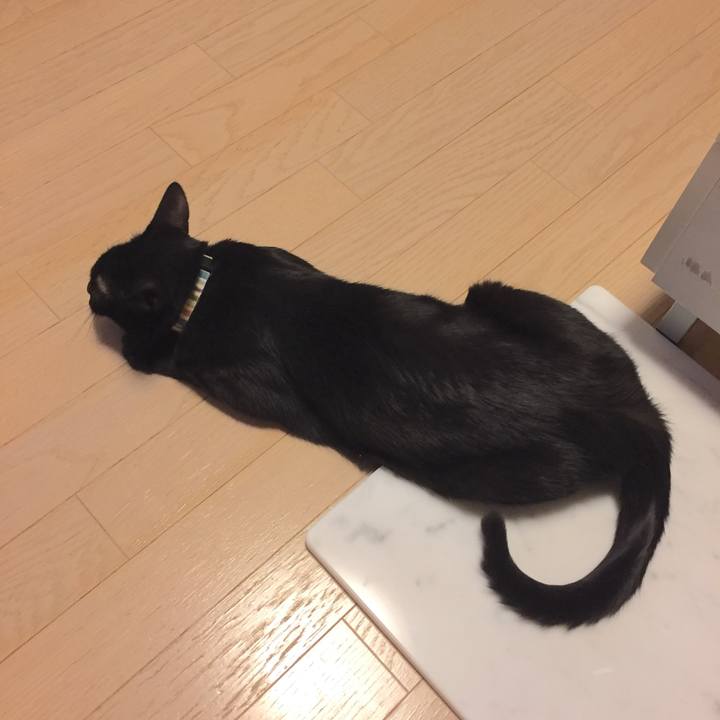 F6f27759 2550 45dc bbc9 5663502b2f54