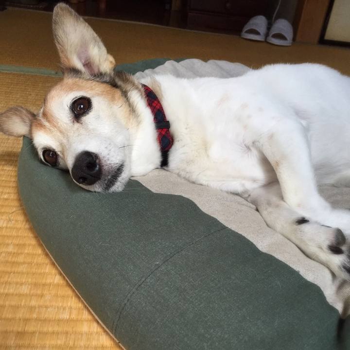 F6f2b54b 8388 4977 a99e d763436ddbe6