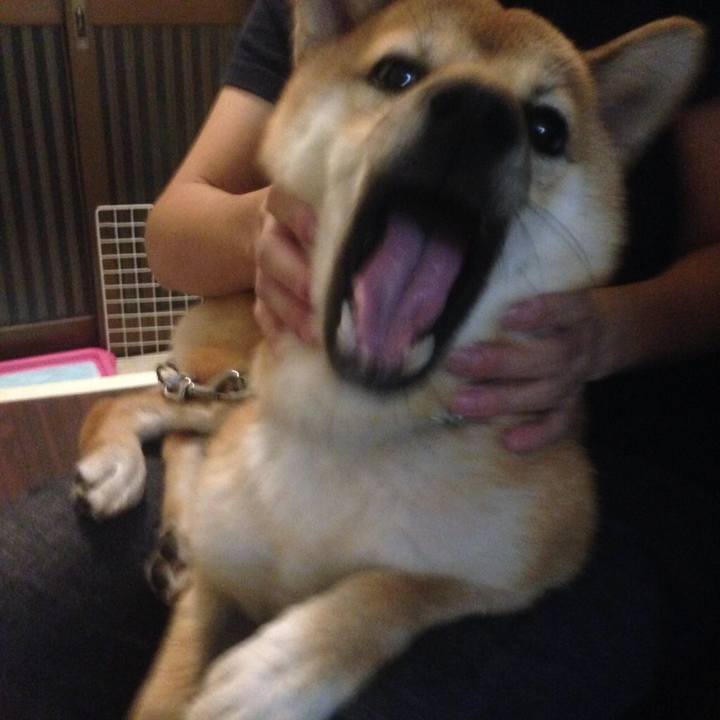 F6f2f615 43fd 4b0d ac13 7014603bf14d