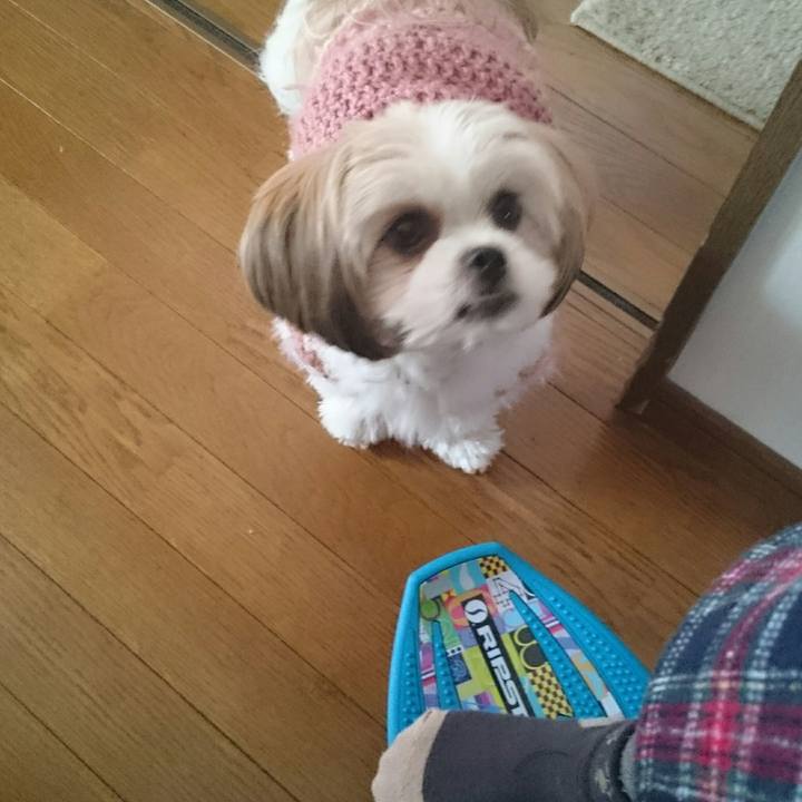 F6f3042f 5eee 4823 903c 06ad5aa55898