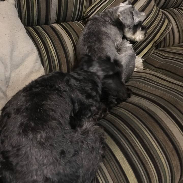 F6f419d1 8447 45a9 9537 f8b74a4f3cbf