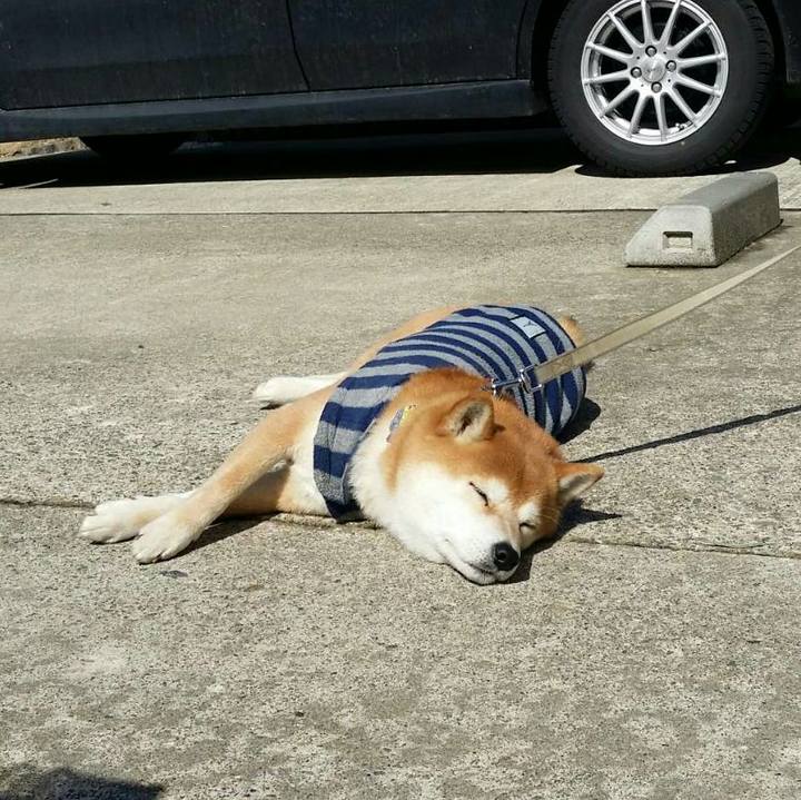 F6f46b8b 16b4 47a8 ac1b 945c1713d9b2