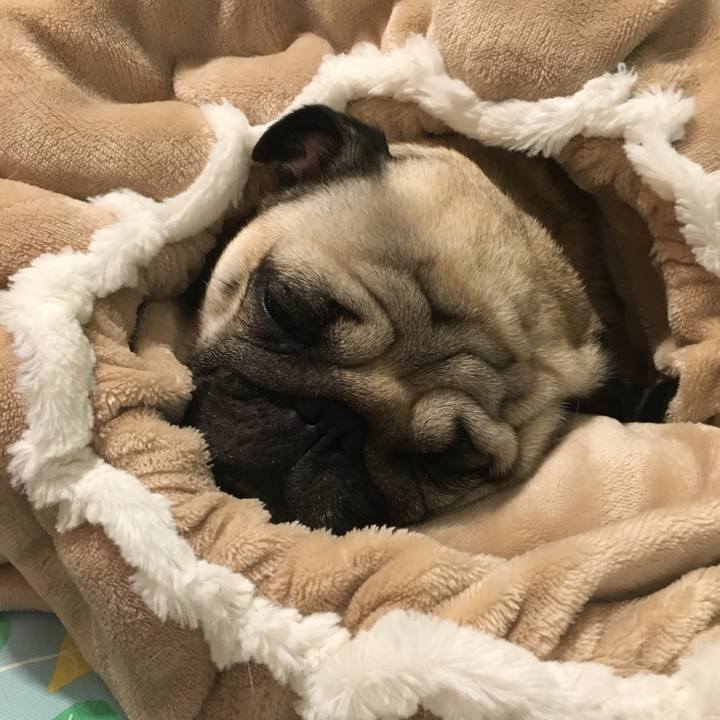 F6f5402e 1860 4794 9775 d877c9f18a52