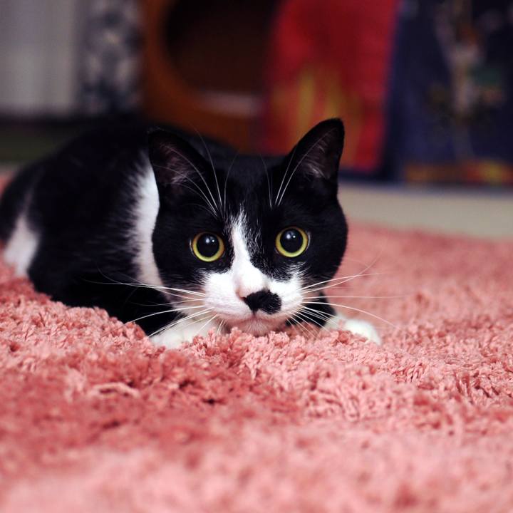 F6f56dd2 bafe 4577 9991 c8e98563d25b