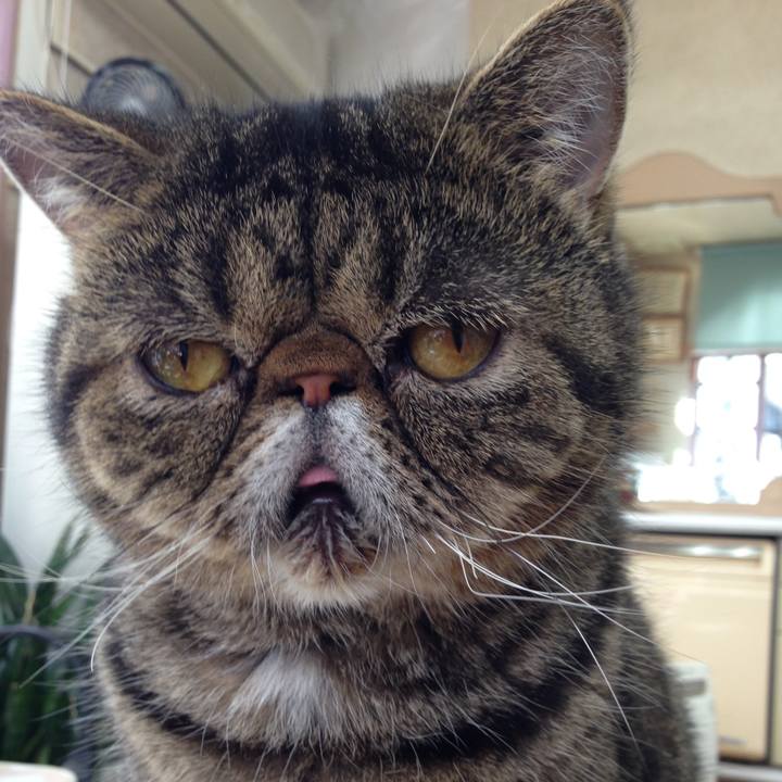 F6f5cd54 bc91 4a95 be31 416076c106a3