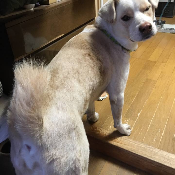 F6f5e250 a222 4a95 a8b4 6f3d0792e722