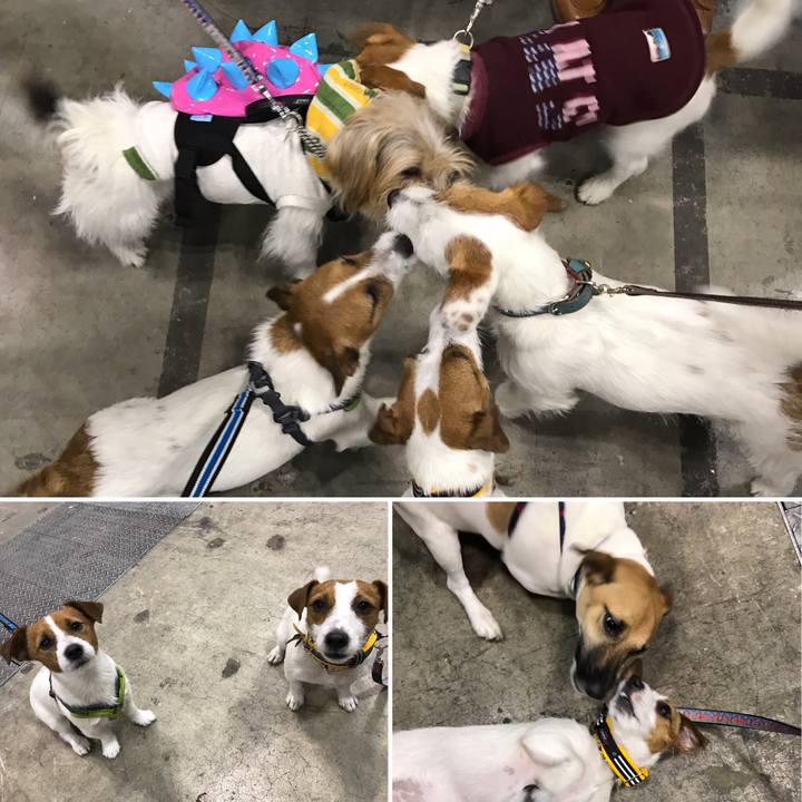 F6f5f326 f09b 4017 a2fb 7df87802f268