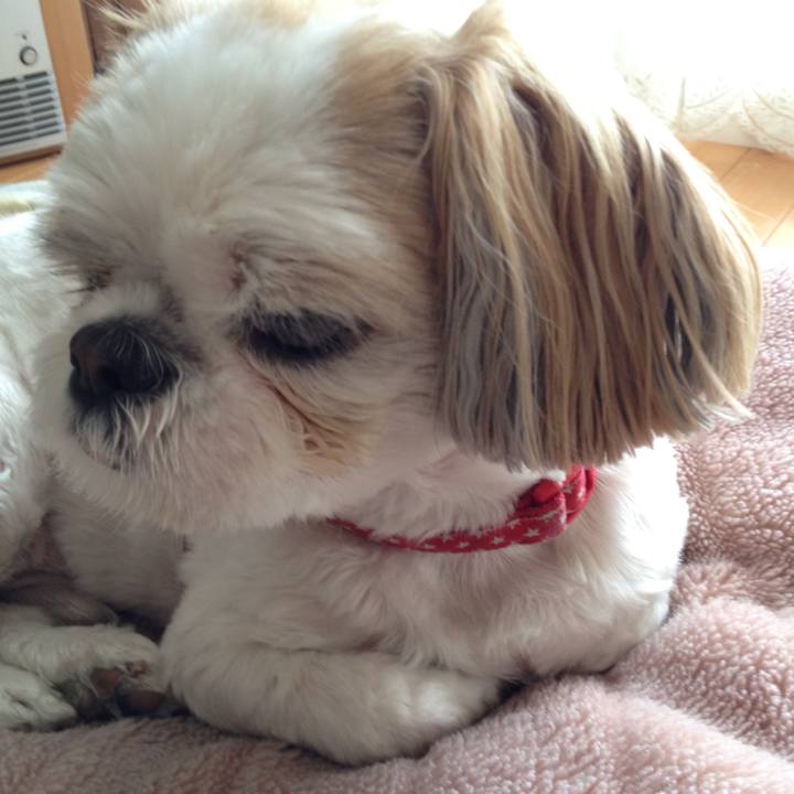 F6f64835 48c2 4dfd be42 c6a6be836455