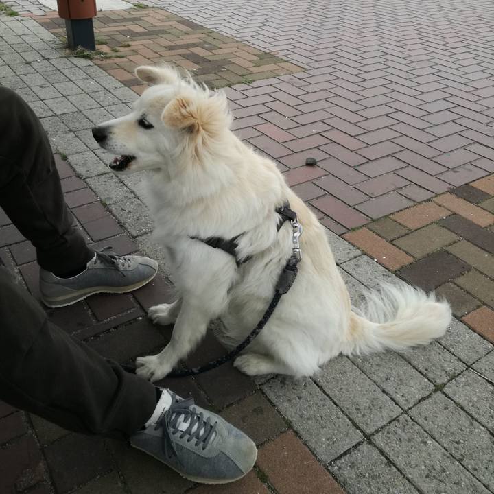 F6f6fac0 b325 4f2e b38d 69b0420ce6b6