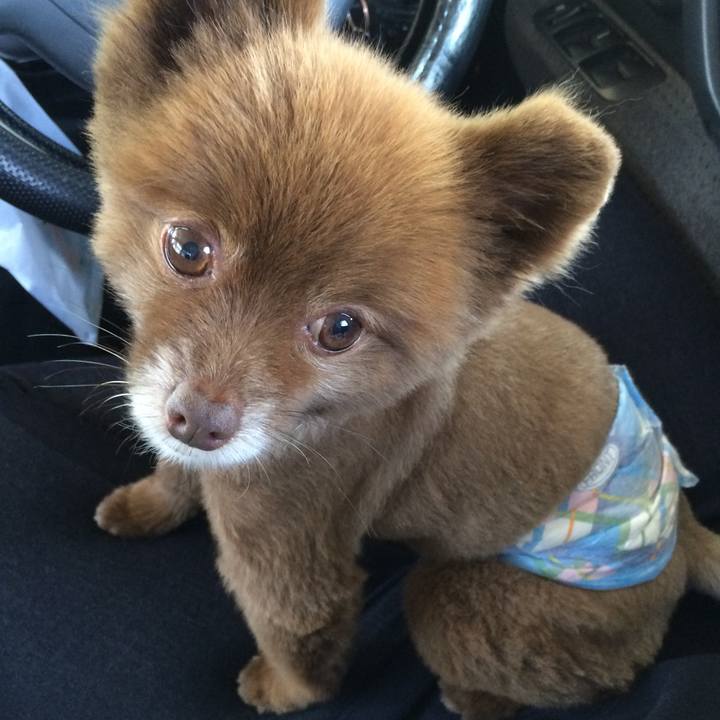 F6f7bfea 19e3 46c8 952c f1e10368f2e8