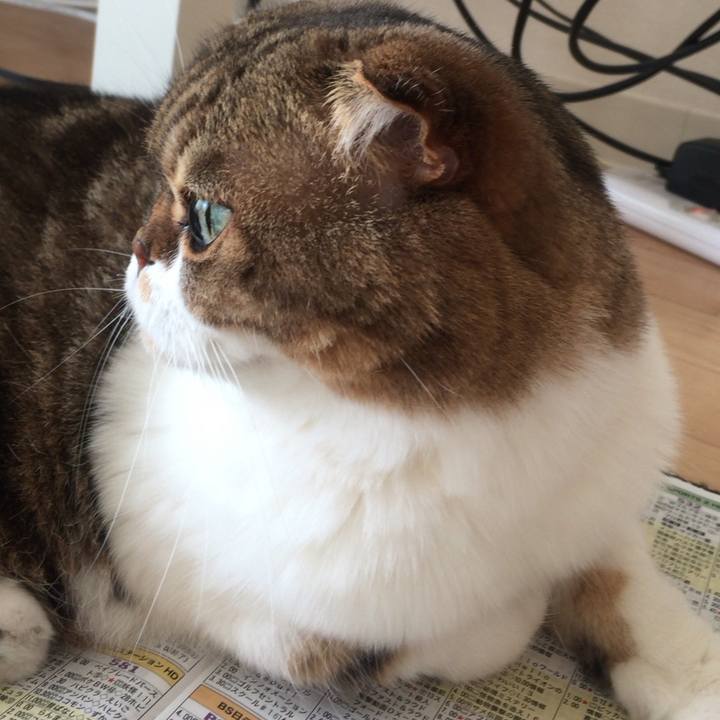 F6f7c667 92aa 4685 8c82 895e2633aa6a