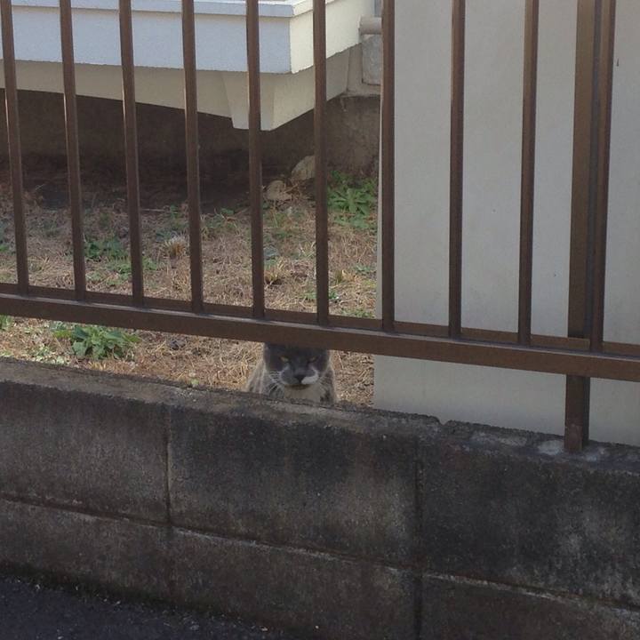 F6f7de4f eabf 4a24 8397 5300587f6409