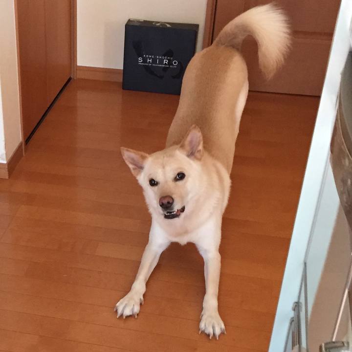 F6f7f521 7513 4376 9458 f3833c325f75