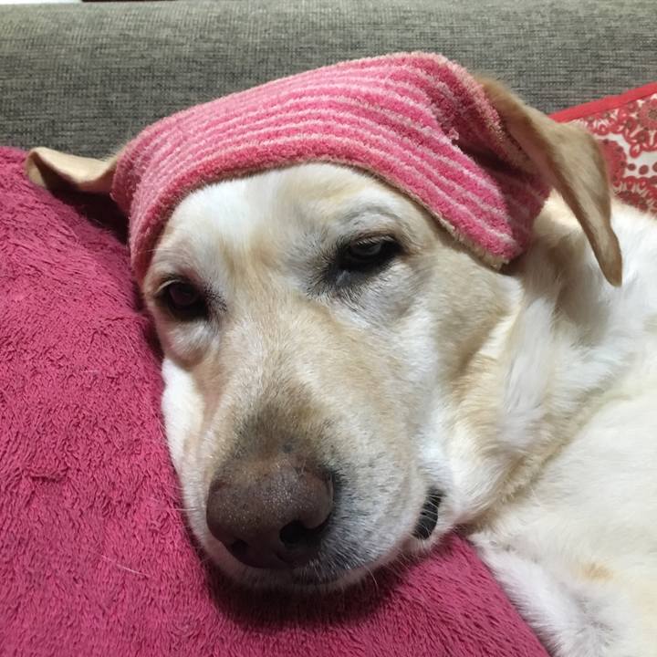 F6f809b9 9212 49fb 863c 934a4a29dc22