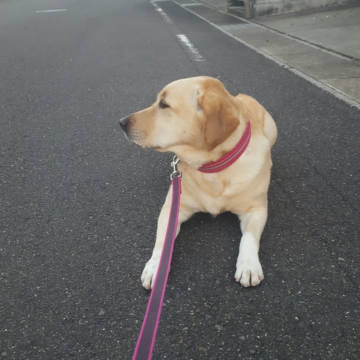 F6f8182c 3c1d 4057 92b9 30dbda58128f