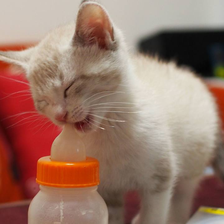 F6f82088 4a2d 43cc afb6 6080991ce5c4