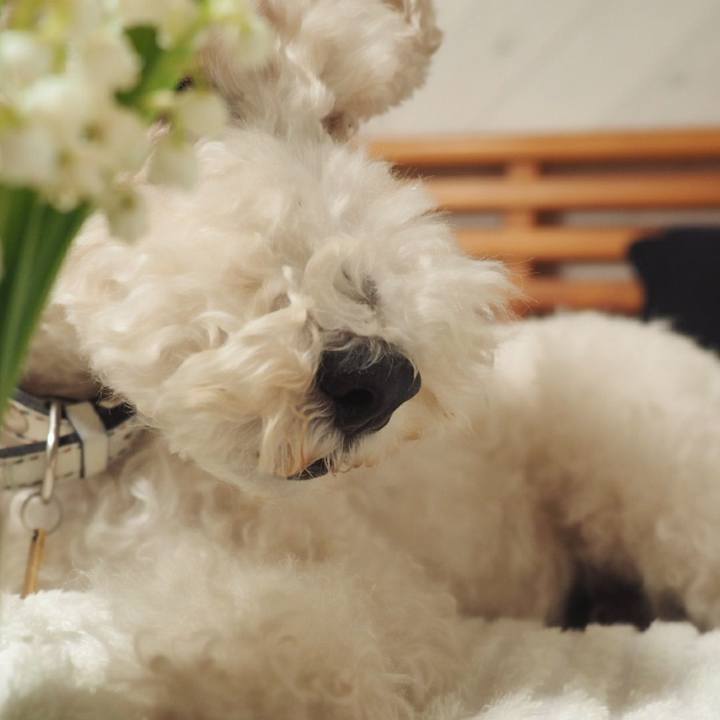 F6f8440d eb38 49db 9ad1 68c1e6d15746