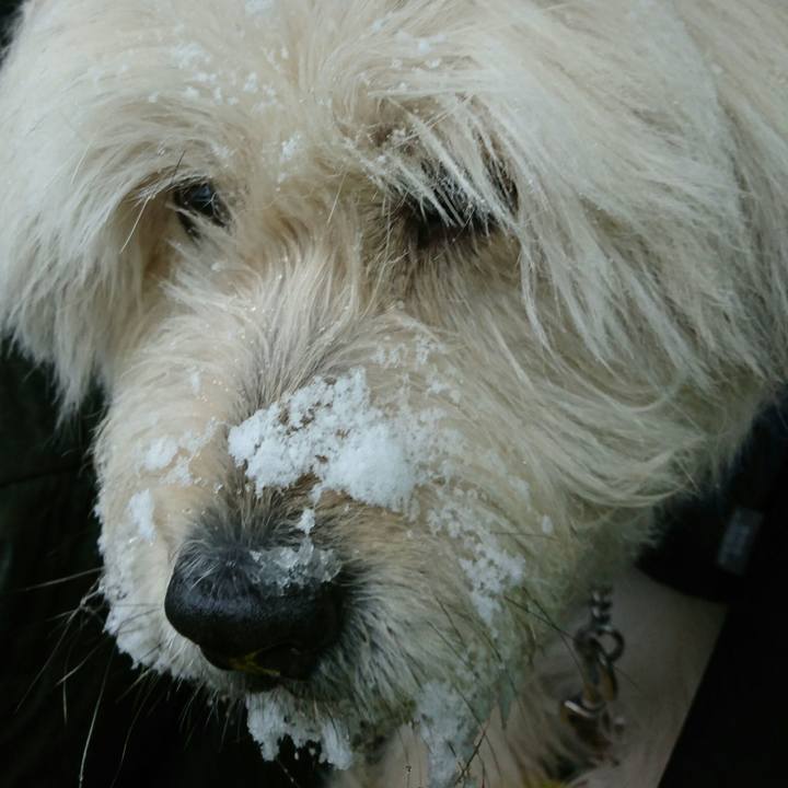 F6f8f524 e128 473e 83c2 3a3e7db4826c