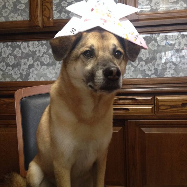 F6f90d77 e7f5 458b a408 2b82686bd8de