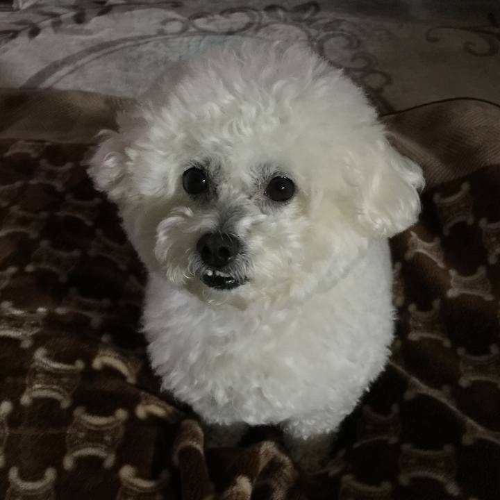 F6f95898 57d7 4ae0 b56f d1e546067087