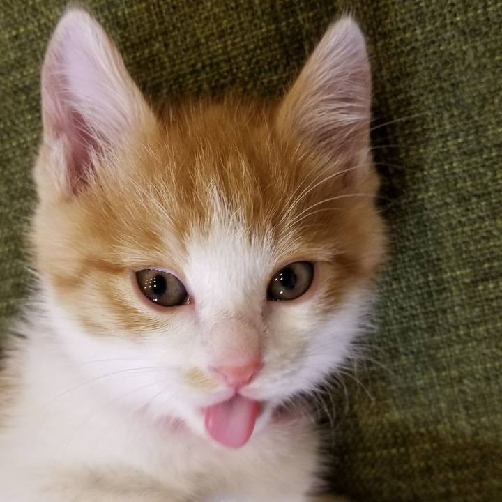 F6f96005 90c8 4ae7 a7cb 59f061db8eb4