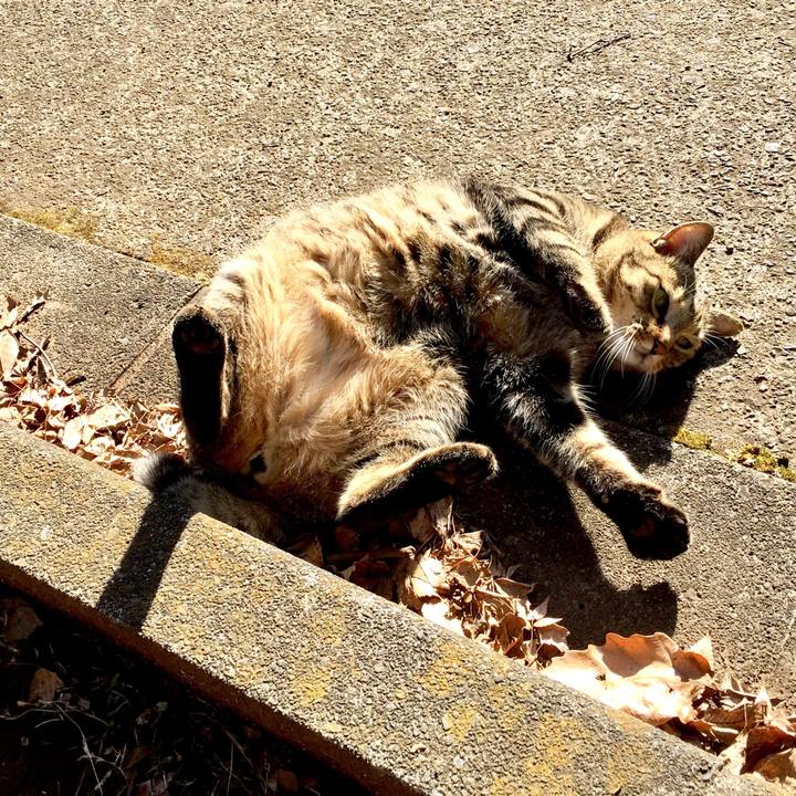 F6fa1d2c c80a 4132 986b 2bee2766c765