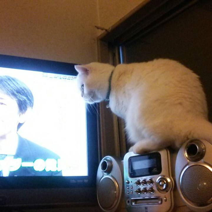 F6fa8d19 2552 488f ad42 1cc4d77df8cb