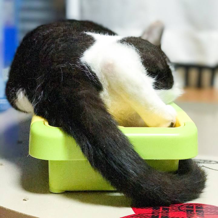 F6fb869a 8224 4c12 98c3 2de2a3c47708