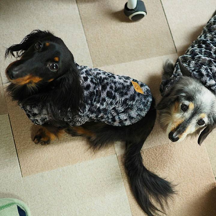 F6fd0a13 0ecd 45fc 86df 4f102c4b9af1