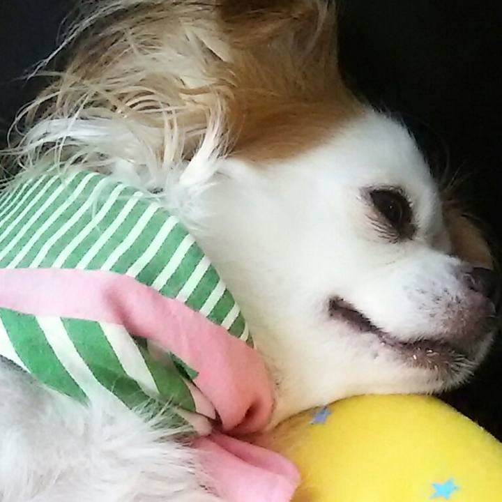 F6fd4df4 c4a7 48ad 830f 7dd618d2eebc