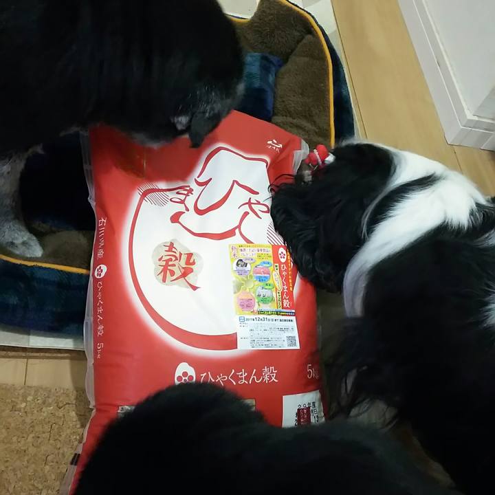 F6fd6ee3 61aa 488b 820d eda9d07e8df7