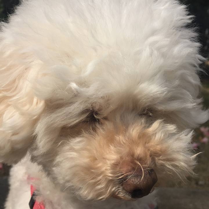 F6fdca32 914a 4a64 8d6d e4186cdccdc3