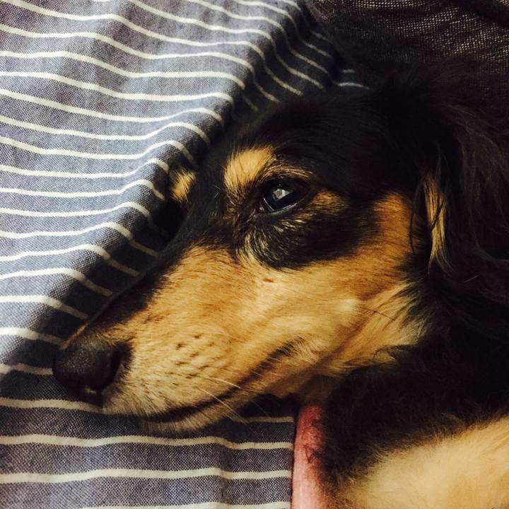 F6fe56d2 890a 4d0e b57d 2699613c102a