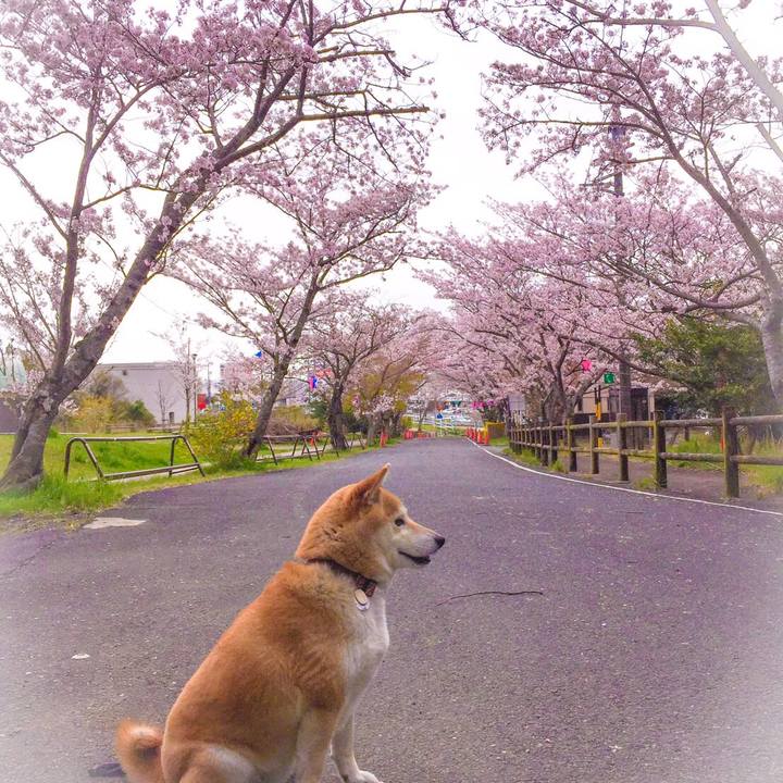 F6fe6894 b031 4bc1 bfa1 d80445a3ecae